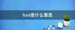 fool是什么意思翻译 fool是什么意思