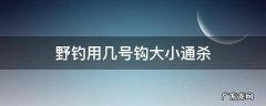 野钓用几号钩大小通杀 野钓用几号鱼钩大小通杀