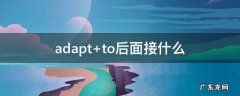 adapt to后面接什么