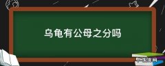 乌龟有公母之分吗 乌龟分公母吗?