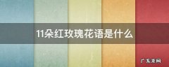 红玫瑰11朵的花语是什么 11朵红玫瑰花语是什么