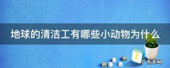 地球的清洁工有哪些小动物为什么