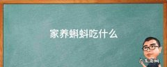 家养蝌蚪吃什么 家养蝌蚪吃什么食物最好
