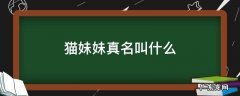 猫妹妹叫啥 猫妹妹真名叫什么