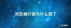 知否中魏行首最后为什么逃走 知否魏行首为什么跑了