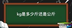 kg是公斤还是斤斤 kg是多少斤还是公斤