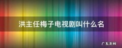 洪主任梅子电视剧叫什么名 洪主任梅子是什么电视