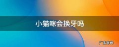 小猫咪会换牙吗 小猫会换牙么