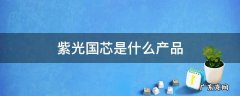 紫光国芯是什么产品 紫光国芯全称