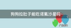 狗狗拉肚子能不能吃诺氟沙星胶囊 狗狗拉肚子能吃诺氟沙星吗
