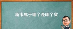 新市属于哪个是哪个省 新市区属于哪个省