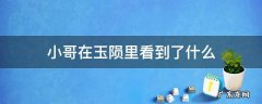 小哥在玉陨里看到了什么 小哥在陨玉中看到了什么