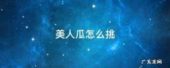 美人瓜怎么挑 美人瓜怎么挑甜