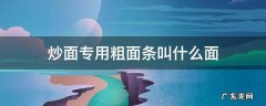 炒面专用粗面条叫什么面 炒细面用的面是什么面条