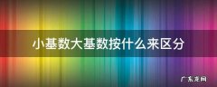 什么叫小基数和大基数 小基数大基数按什么来区分