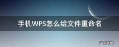 手机WPS怎么给文件重命名 wps手机文件如何重命名