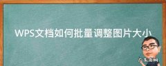 WPS批量调整图片大小 WPS文档如何批量调整图片大小