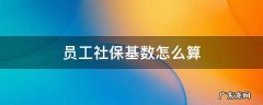 公司员工社保基数怎么算 员工社保基数怎么算