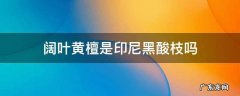 印尼黑酸枝学名阔叶黄檀国标红木 阔叶黄檀是印尼黑酸枝吗