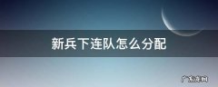 西藏新兵下连队怎么分配 新兵下连队怎么分配
