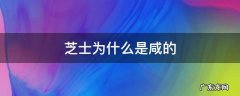 芝士本来就是咸的 芝士为什么是咸的