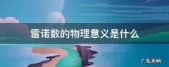 临界雷诺数的物理意义是什么 雷诺数的物理意义是什么