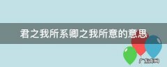 君之我所系卿之我所意的意思 君之我所系卿之我所意该怎么回答