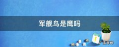 军舰鸟为什么叫军舰鸟 军舰鸟是鹰吗