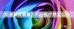 肇事者不出医药费怎么办 交通事故肇事方不出医疗费怎么办