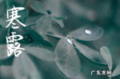 寒露节气养生注意事项