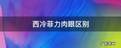 西冷牛排和菲力的区别 西冷菲力肉眼区别