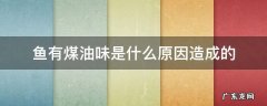 为什么有些鱼会有煤油味 鱼有煤油味是什么原因造成的