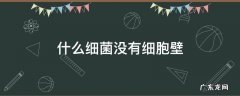 什么细菌没有细胞壁 细菌的细胞都有细胞壁吗