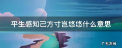 平生感知己方寸岂悠悠什么意思 平生知己是什么意思