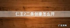仁王2二条剑豪怎么开 仁王2二条剑豪怎么开不做可以吗