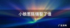 小娘惹陈锡娶了谁 小娘惹陈锡最后娶了谁