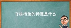 守株待兔的诗意是什么 三年级下册守株待兔的诗意是什么