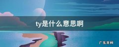 pretty是什么意思啊 ty是什么意思啊