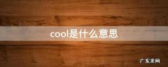 cool是什么意思翻译成中文 cool是什么意思