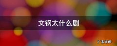 文钢太什么剧 文钢太是属于文钢太的