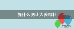 施什么肥让大姜粗壮 大姜中后期施什么肥好