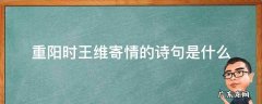 重阳节时王维寄情的诗 重阳时王维寄情的诗句是什么