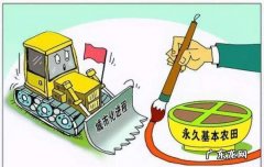 耕地范围包括哪些,一般耕地是什么意思 包括哪几种土地类型
