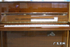 clarinet是什么乐器,西洋管弦乐队中的单簧管是属于:
