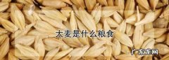 大麦出来的是什么粮食,高粱 水稻 小麦 大麦这些种出来的分别是什么