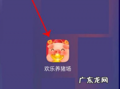欢乐养猪场能提现吗？,《开心养猪场》提现方法介绍