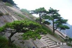 黄山属于丹霞地貌,黄山是丹霞地貌嘛