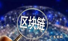 husd是什么币种,火币交易买币超过时间不放币会怎么样
