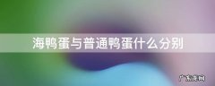 海鸭蛋与普通鸭蛋什么分别 鸭蛋和海鸭蛋的区别