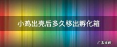 孵化器小鸡出壳后多久移出 小鸡出壳后多久移出孵化箱